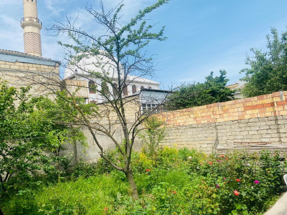 House In Quba Villa Екстериор снимка